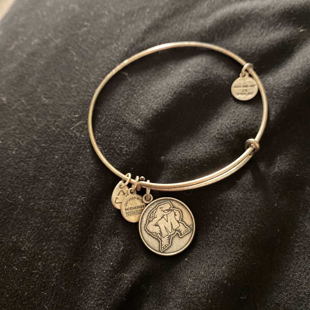 Alex and Ani bangle
